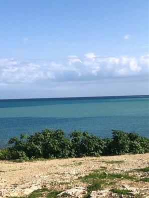 A coastal landscape with a clear sky, calm sea, and a rocky foreground with greenery. - Private Apartment... (FREE WIFI ) (st pauls bay)
