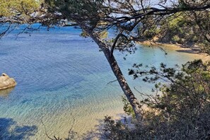 A clear coastal view with a tree in the foreground and a sandy beach in the background. - Apartment in Cavalaire near Sandy Beach (Cavalaire sur Mer)