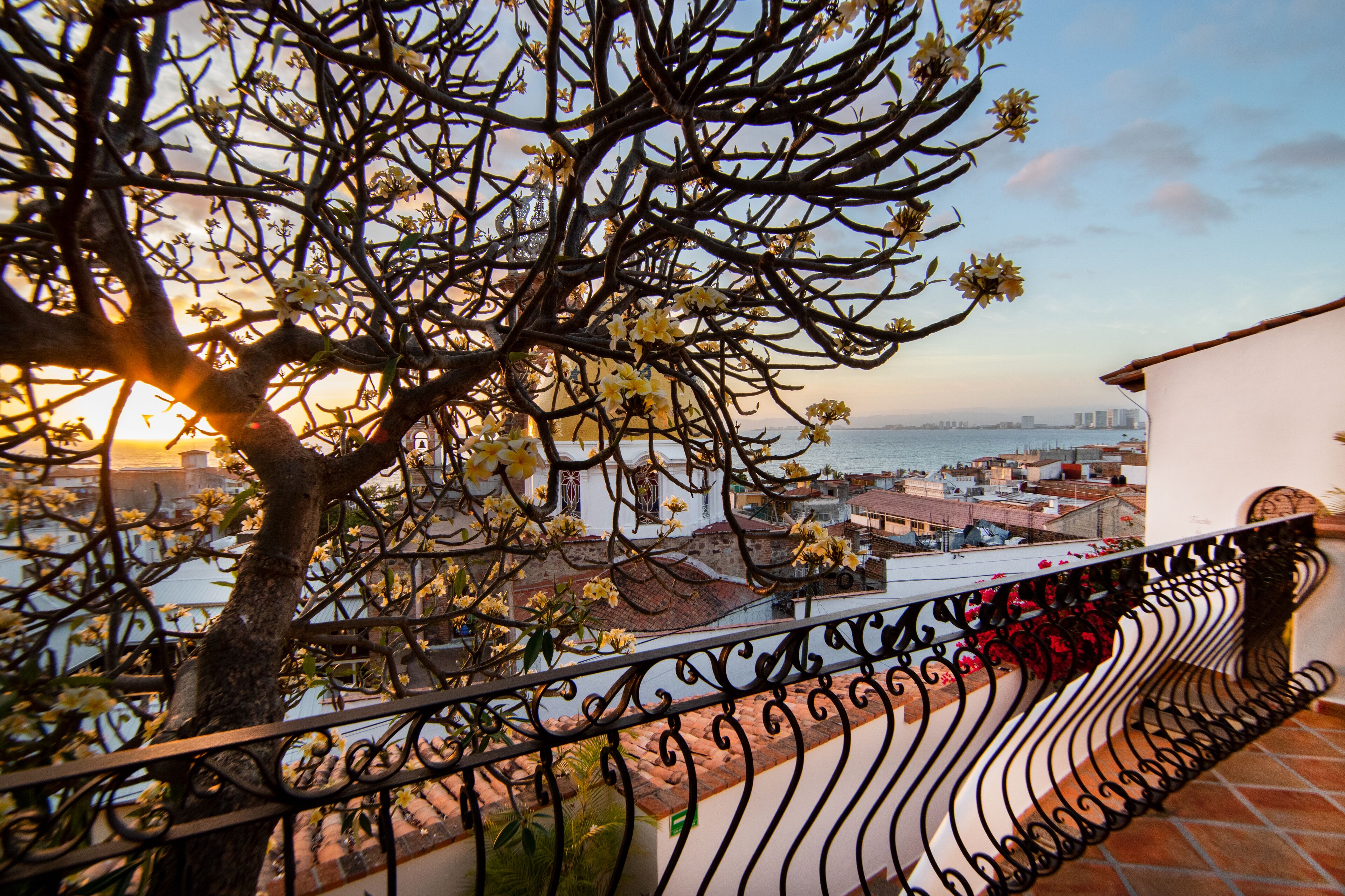 deluxe | terrace/patio