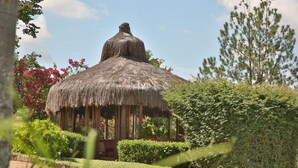 Una estructura con techo de paja rodeada de exuberante vegetación y plantas florecientes.