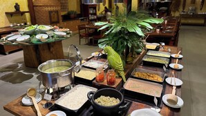 Un bufé con diversos alimentos y una planta verde grande en el centro.