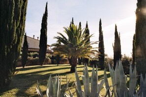 Property grounds - Tuscan dream in a hilly location & close to the sea - Ravi apartment (Gavorrano)