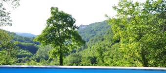 Traditional Stone House 1