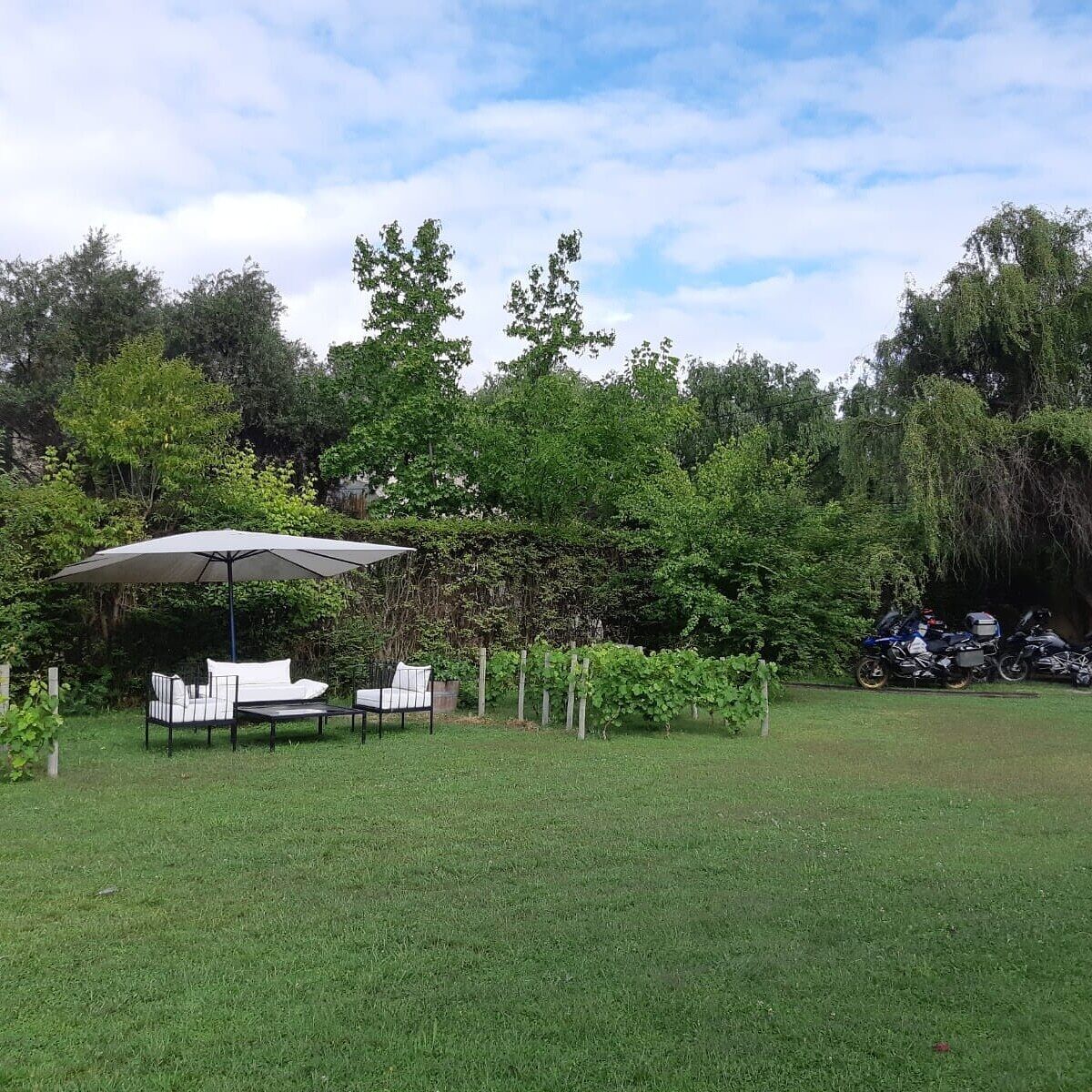 An outdoor seating area with a table and chairs under a canopy, surrounded by lush greenery and trees.