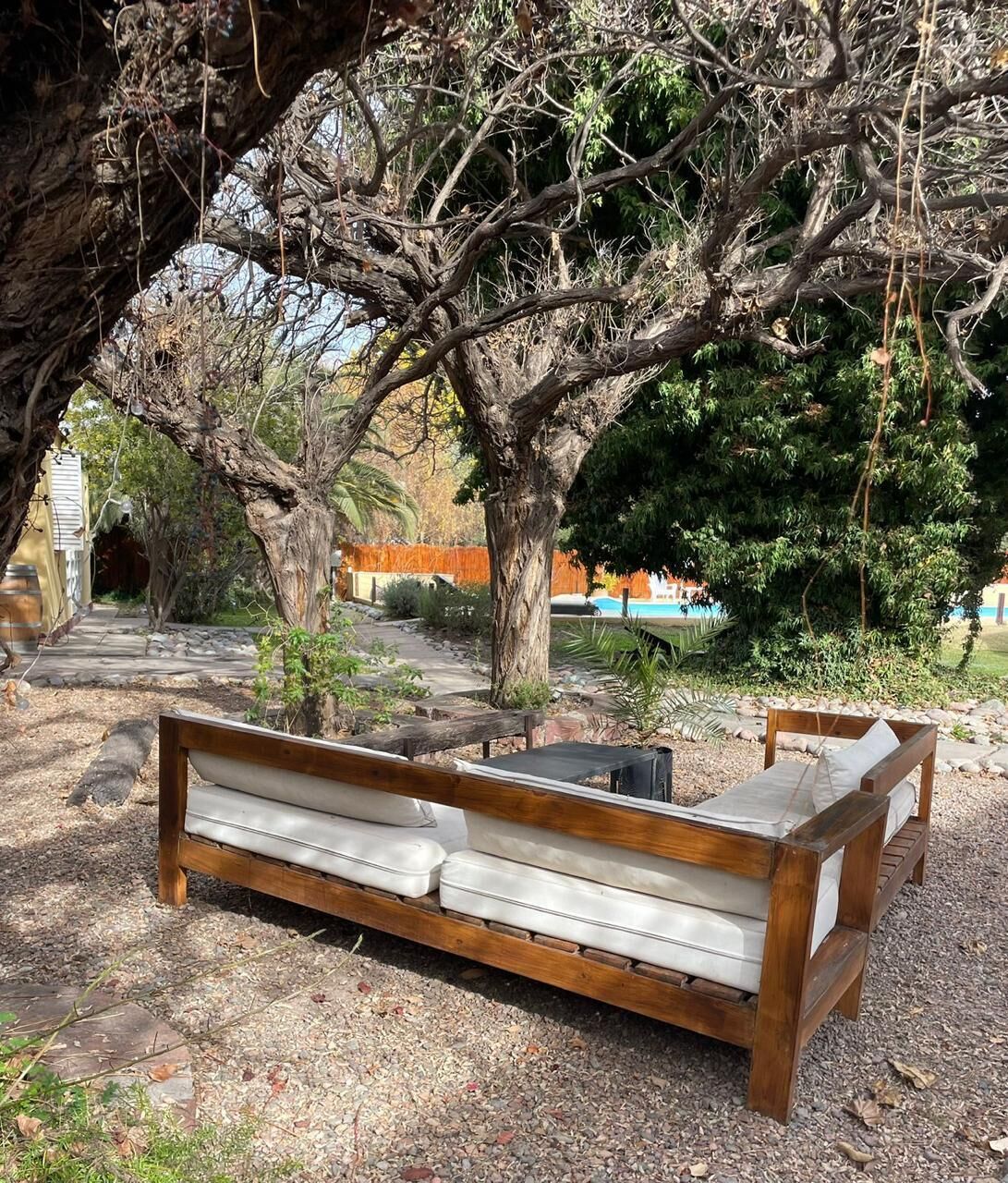 A wooden bench under a tree in a garden area with a pool in the background.