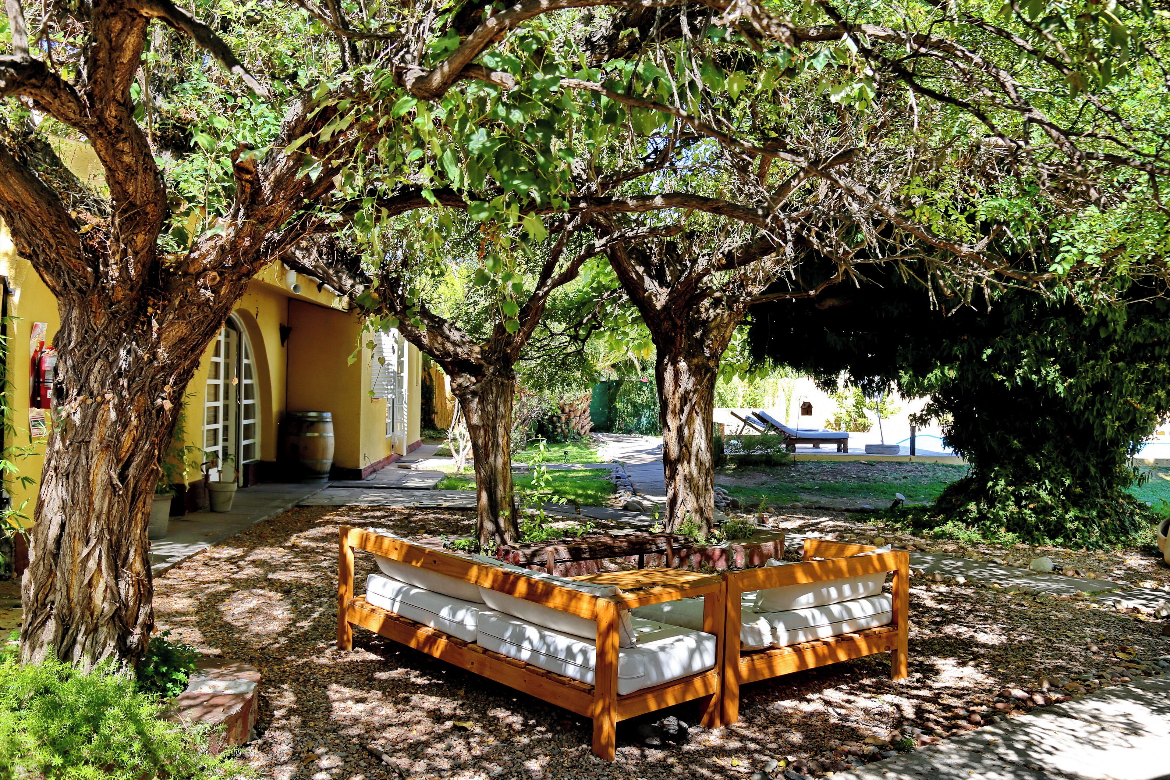 Un banco de madera bajo un árbol en un patio con un edificio amarillo al fondo.