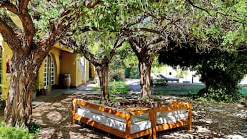 Un banco de madera bajo un árbol en un patio con un edificio amarillo al fondo.