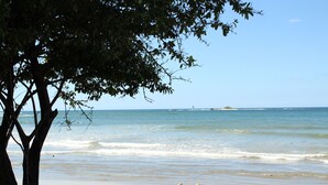 A beach with a tree in the foreground and a clear view of the ocean. - Casa Woodbine Beachfront House (Tamarindo)