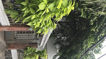 Detalle exterior