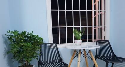 TP garden house - Green house in center of a wonderful city