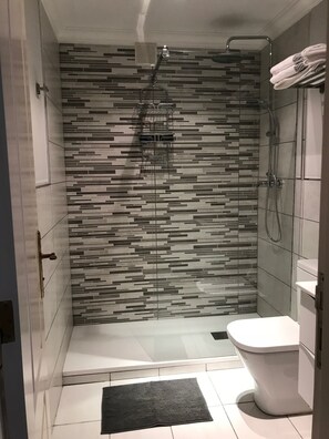 Shower, hair dryer, towels, toilet paper