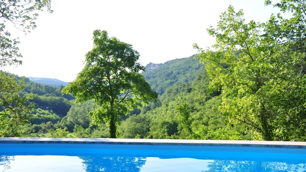 A swimming pool with a view of a forested hillside. - Traditional Stone House 3 (Buzet)