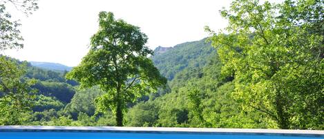 Outdoor pool, pool loungers