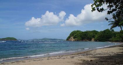 LE PETIT PARADIS VILLA T2Bis MEERBLICK, POOL, STRAND 200m