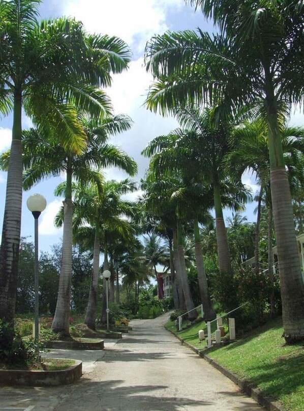 Jardines del alojamiento