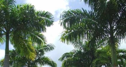 LE PETIT PARADIS VILLA T2Bis VUE MER, PISCINE, PLAGE A 200m