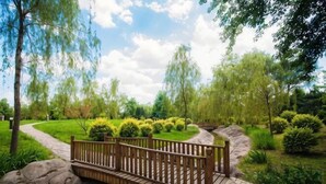 A wooden bridge over a small stream in a landscaped garden with pathways and greenery. - Zhongjia Palace Hot Spring Hotel (Beijing)