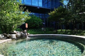 Servicio de la propiedad