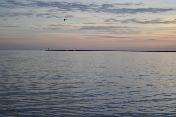 Une mer calme, avec une côte lointaine et un oiseau qui vole au-dessus.