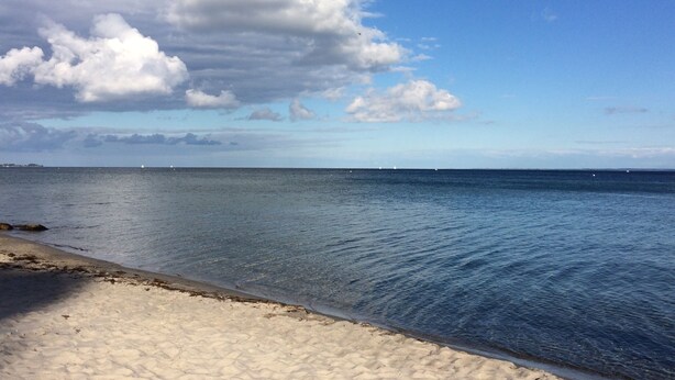 Una playa con agua cristalina y una orilla arenosa.