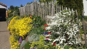 Un jardín con diversas flores y una valla de madera.