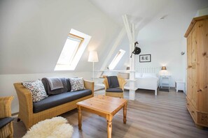 电视、壁炉、DVD 播放器、书