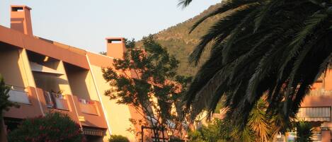 A residential building with a flat roof, multiple chimneys, and a surrounding garden with various plants and a palm tree.