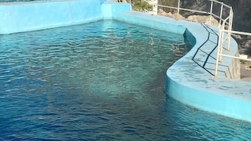 外觀