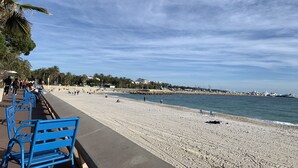 Una playa con bancos azules, palmeras y cielo despejado.