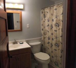 Ensemble douche/baignoire, sèche-cheveux, serviettes fournies, savon