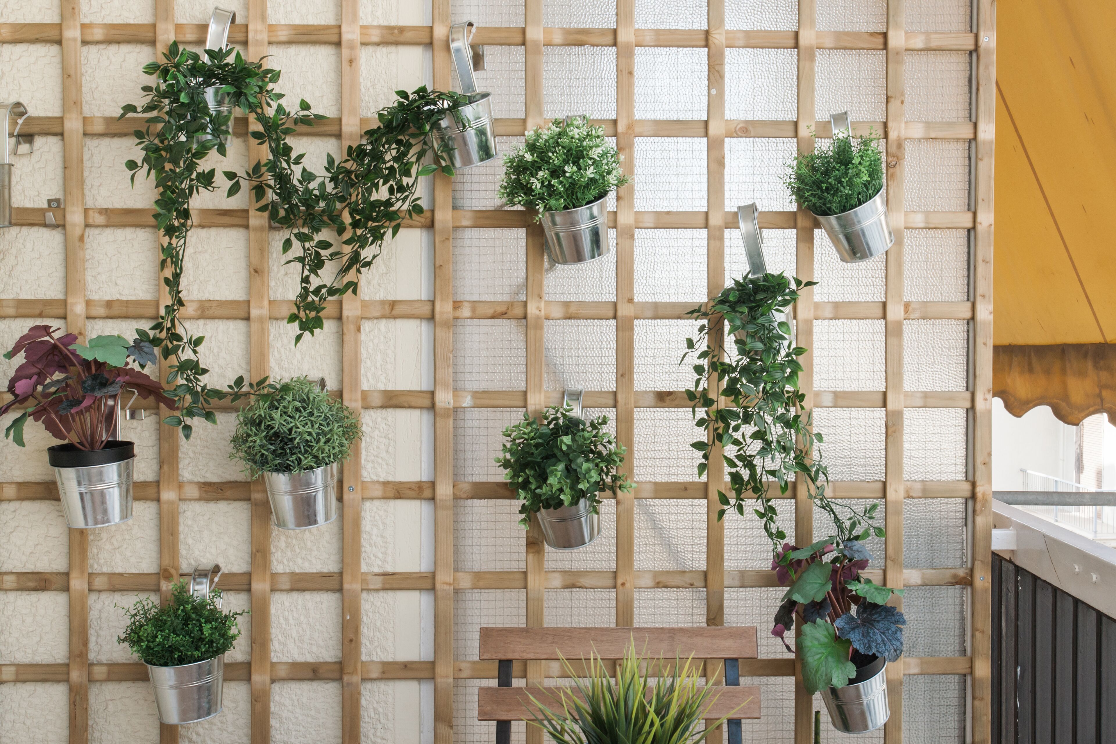 A wooden grid wall with multiple metal buckets containing various plants.