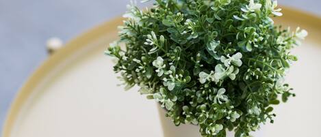 A small white potted plant with green foliage on a round table with a gold frame.