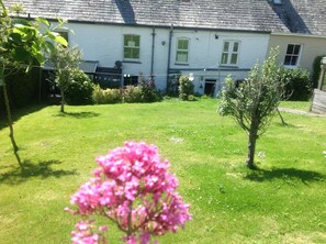 Área da propriedade