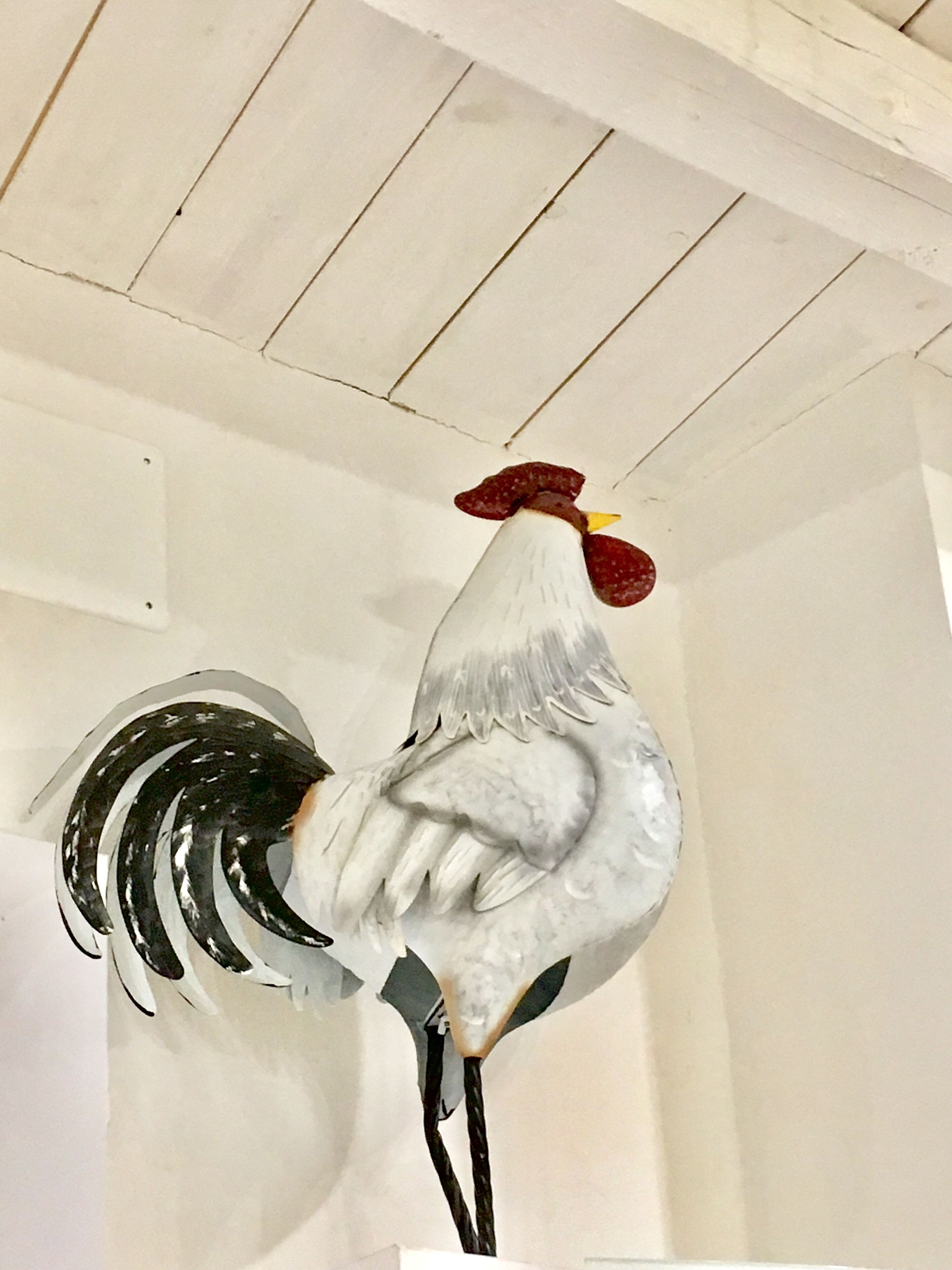 Une statue de coq fixée à un mur.