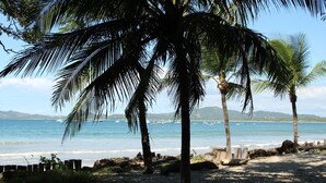 Ein Strand mit Palmen, sandigem Ufer und Booten im Wasser.