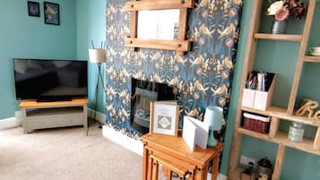 TV connectée, cheminée, livres