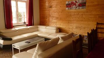 Télévision, cheminée, lecteur de DVD, livres