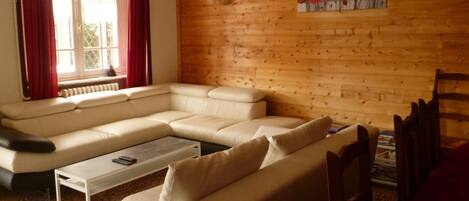 Een televisie, een open haard, een dvd-speler en boeken