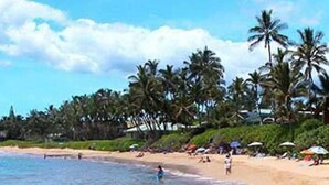 Ein Strand mit Palmen, Menschen und Sonnenschirmen.