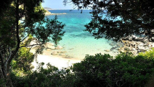 Un paysage côtier caractérisé par une eau turquoise et limpide, une plage rocheuse et une végétation luxuriante.