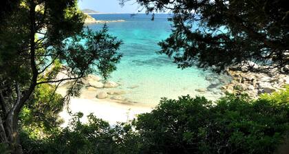 Villa Bibi with swimming pool, three doubles, garden, private beach.
