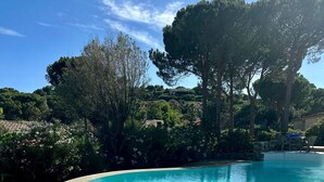 Une piscine d’un bleu éclatant, ornée de trois bouées blanches flottantes, entourée d’une terrasse en bois et d’une végétation luxuriante.