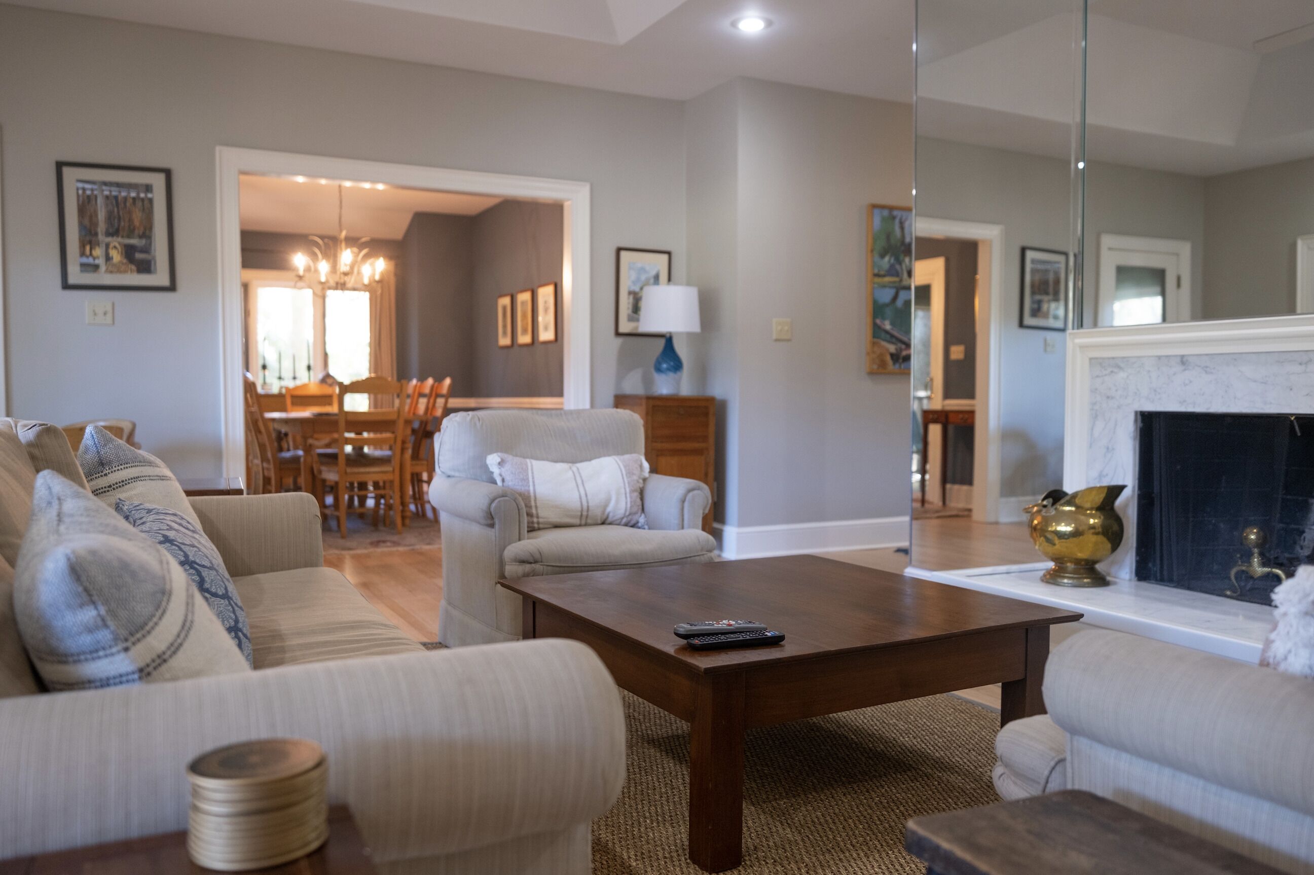 TV connectée, cheminée, lecteur de DVD, livres