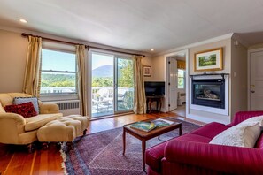 TV, fireplace, DVD player, ping pong