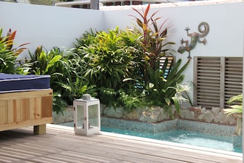 Private plunge pool. 2.5x3.5M