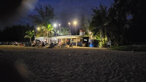 Un établissement situé en bord de mer, doté d’une terrasse et bordé de palmiers.