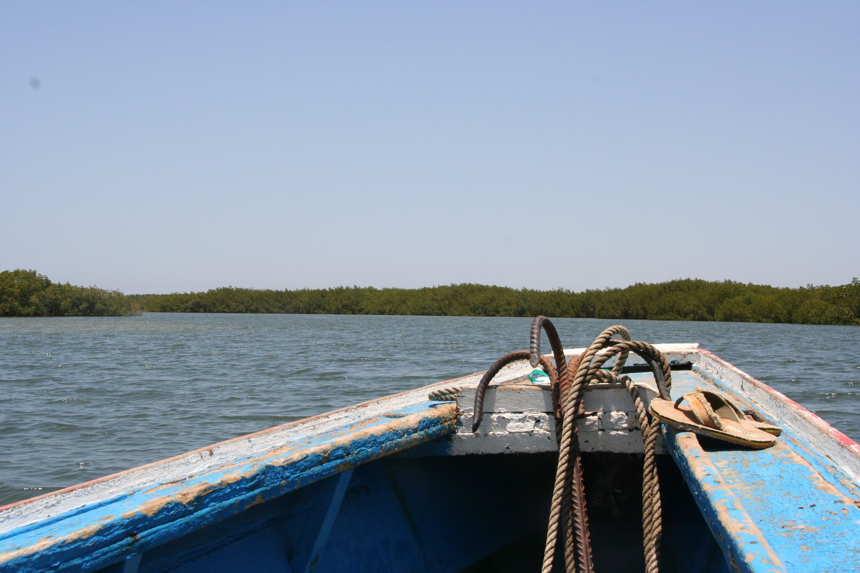 The bow of a boat with a rope and a paddle, surrounded by calm water and a forested shoreline.
