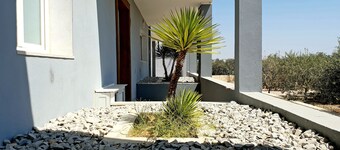 プライベートプール付きのヴィラ2