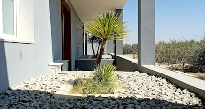 Villa with private pool 2