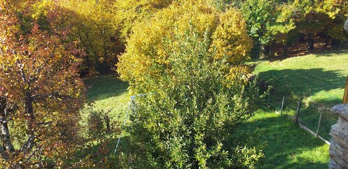 KENMERKEN VAN HUIS ST ANDRE DE Lancize